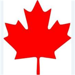 枫叶千图网无水印下载工具v1.2绿色版