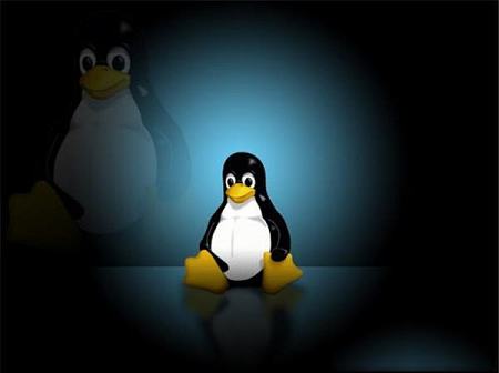 Linux Kernel