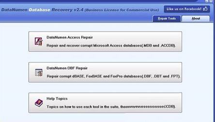 DataNumen Database Recovery破解版