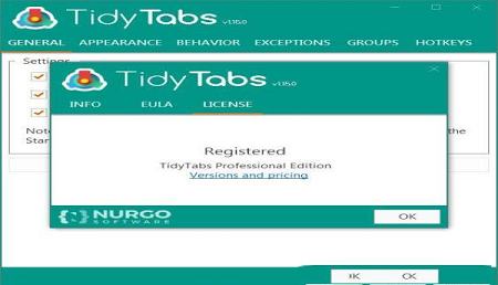 TidyTabs(桌面标签管理工具)破解版