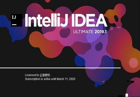 IntelliJ IDEA 2019.1激活码