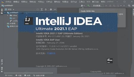 IntelliJ IDEA Ultimate 2021汉化包