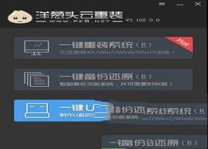 洋葱头云重装绿色免费版