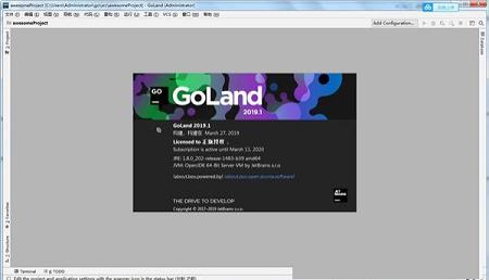 Jetbrains GoLand 2019