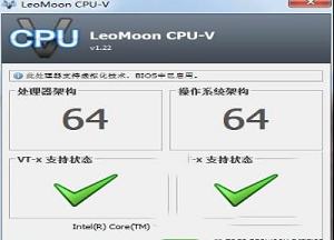 LeoMoon CPU-V(cpu虚拟化检测工具)中文绿色版