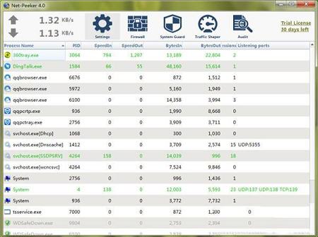 Net-Peeker(网络监视软件)