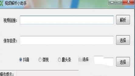 视频解析小助手