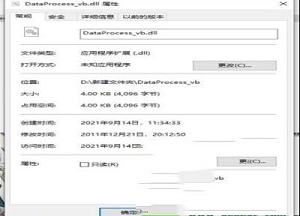 DataProcess_vb.dll文件