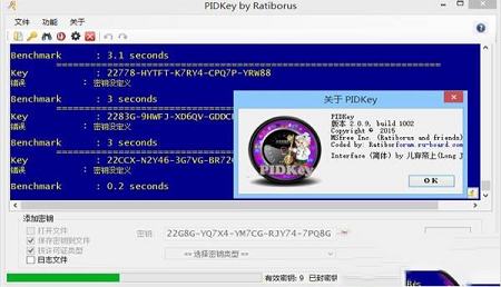PIDKey(密钥批量检测工具)中文绿色版
