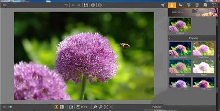 Wondershare Fotophire免费版 v3.3.16