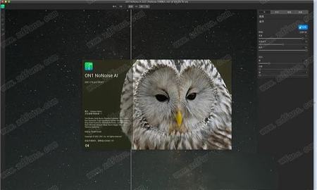 ON1 NoNoise AI 2021破解补