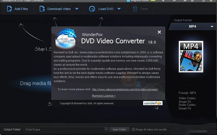 WonderFox DVD Video Converter18绿色版