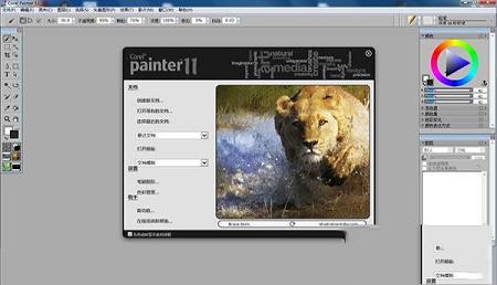 Corel Painter 11