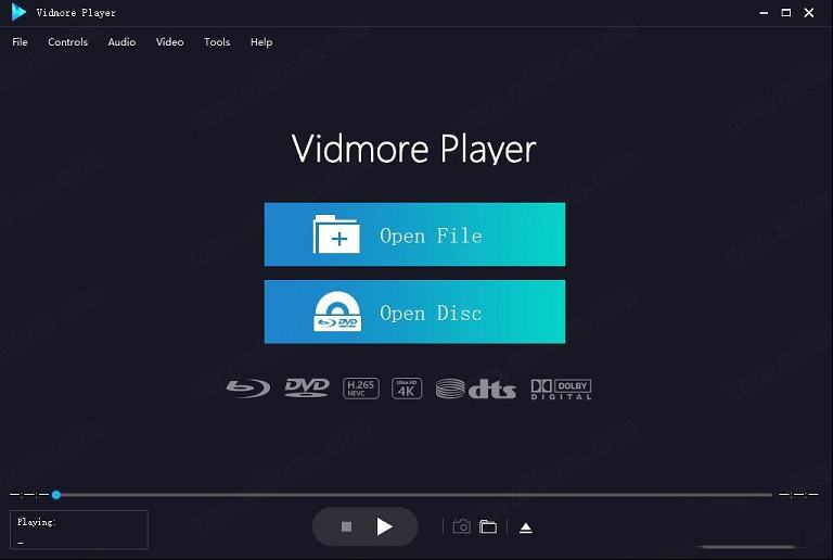 vidmore player破解版