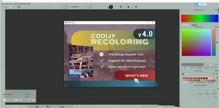 CODIJY Recoloring 4破解版