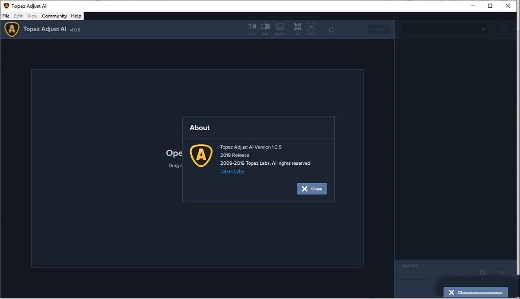 Topaz Adjust AI绿色破解版