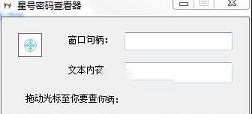 T4星号密码查看器