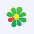 ICQ中文绿色版v10.0.38545中文绿色版