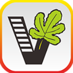 我要自学网v1.8.1电脑版