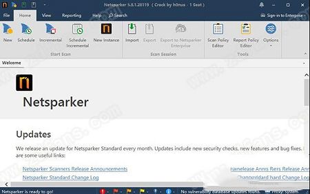 Netsparker Pro(web漏洞扫描工具)