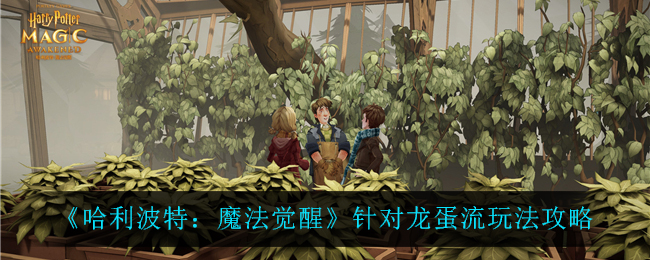 哈利波特:魔法觉醒针对龙蛋流怎么玩?哈利波特:魔法觉醒针对龙蛋流玩法说明
