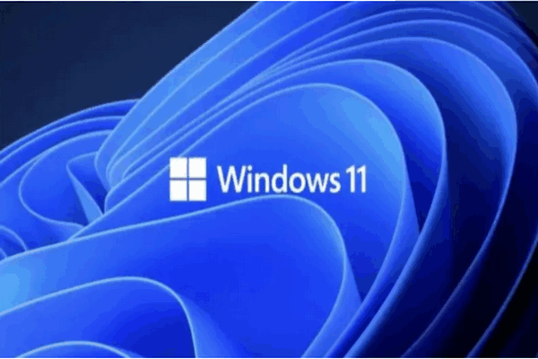 Windows 11