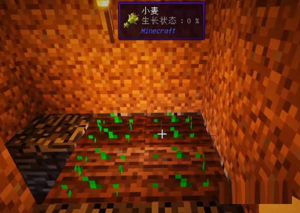 我的世界饥饿改革模组