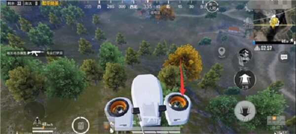 和平精英双生树在哪个位置