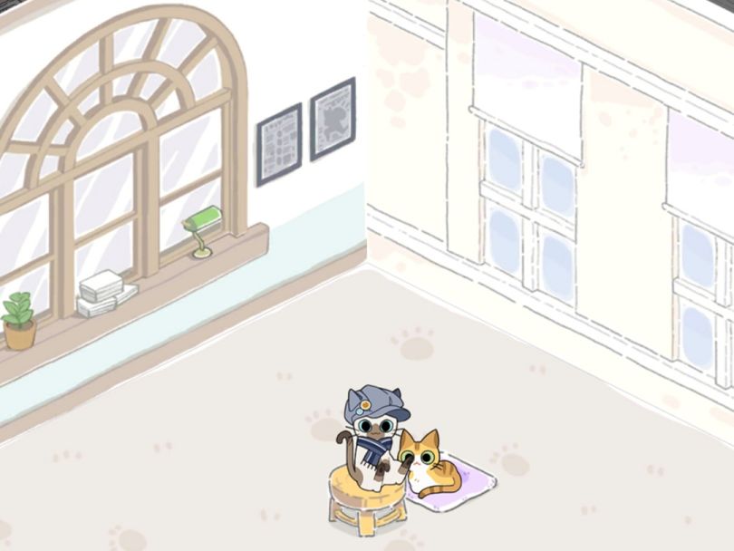 购买家具攻略-猫友圈猫咪的旅行的家具在哪里买