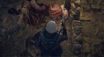 伊莲娜完美结局达成方法-艾尔登法环伊莲娜怎么救活