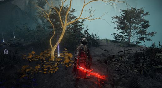 老头环圣杯瓶次数增加方法介绍-艾尔登法环圣杯瓶怎么增加次数