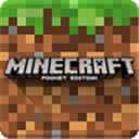 Minecraft我的世界国际版 V1.19 官方正式版