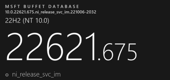 Win11 22H2 KB5019509离线更新补丁