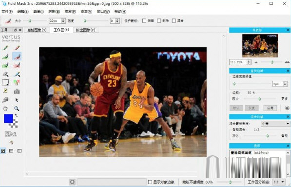 Vertus Fluid Mask汉化版