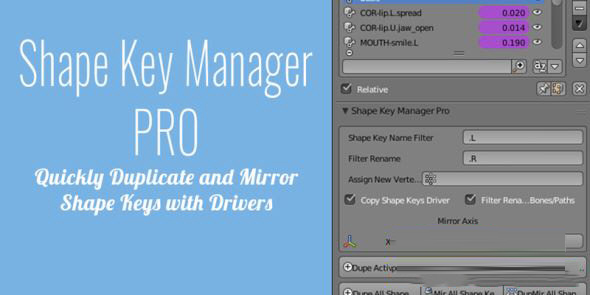 Shape Key Manager Pro