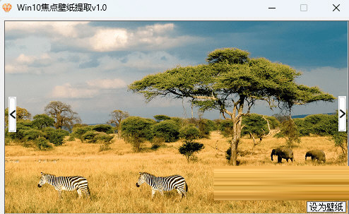 Win10焦点壁纸提取