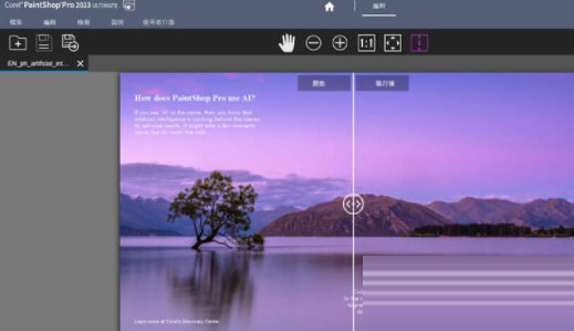 PaintShop Pro 2023破解版