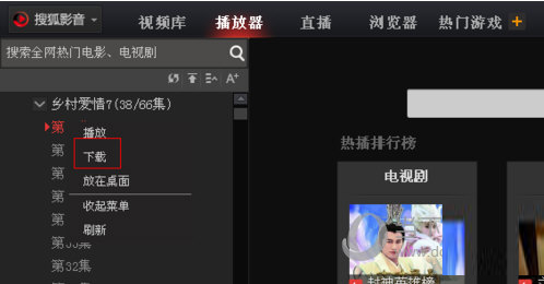 搜狐影音下载选项