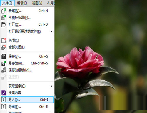CorelDraw X4 SP2 精简增强版