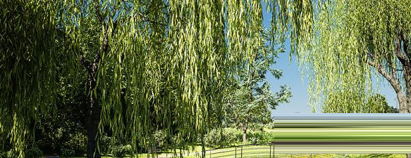 Botaniq Tree And Grass Library