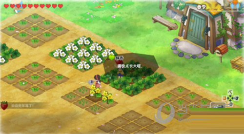 哆啦A梦牧场物语自然王国未加密补丁