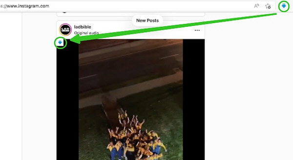 万能视频下载工具插件
