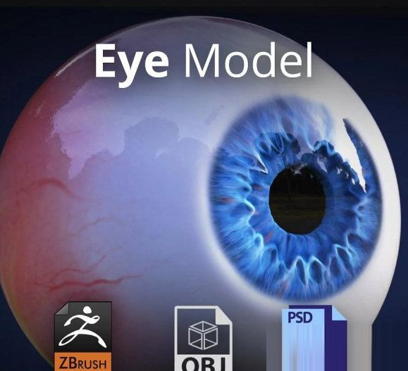 3D Eye Model