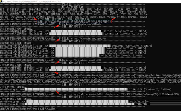 侠客短视频解析