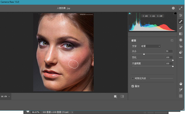 Camera Raw滤镜插件下载