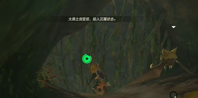 塞尔达传说王国之泪橡胶套装怎么获取 橡胶套装在哪里收集图片18