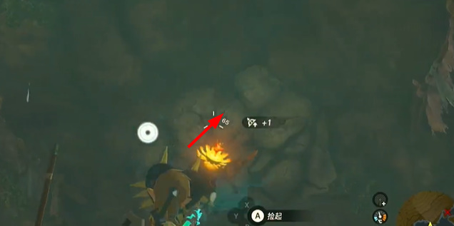 塞尔达传说王国之泪橡胶套装怎么获取 橡胶套装在哪里收集图片6