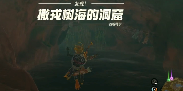 塞尔达传说王国之泪橡胶套装怎么获取 橡胶套装在哪里收集图片10