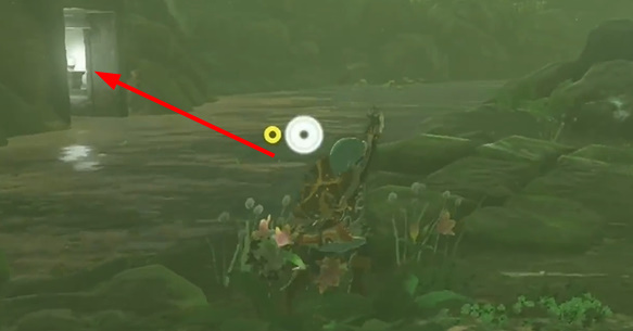 王国之泪雷光套装怎么获取 雷光三件套服裤子头饰在哪里打图片19