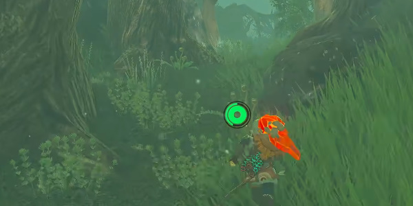 王国之泪世克恩波马拉神庙位置攻略 世克恩波马拉神庙怎么打图片5